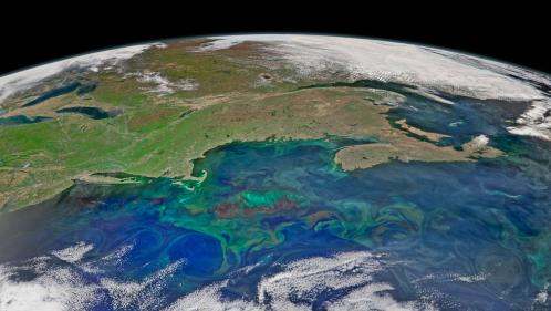 Faut-il s'inquiéter du ralentissement d'une partie du Gulf Stream ?