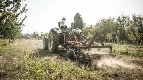 ENQUETE FRANCEINFO. Agriculture : pourquoi la France est-elle en retard sur ses objectifs de conversion bio ?