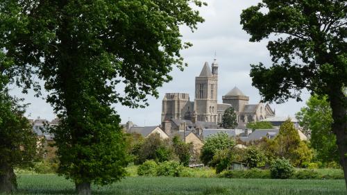 Patrimoine : l'écrivain gallois Ken Follett offre 148 000 euros pour restaurer une cathédrale bretonne