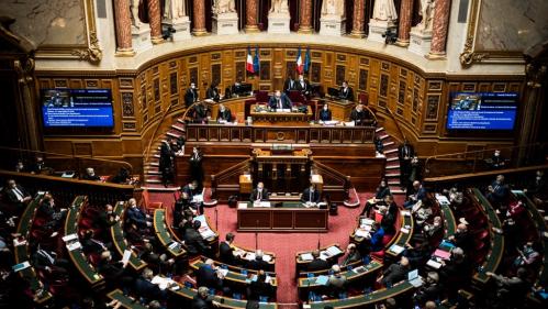 Handicapés en couple : le Sénat se saisit du mode de calcul contesté de l'AAH