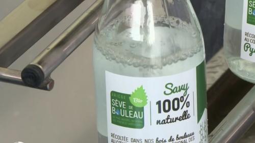 Ariège : la récolte de la sève de bouleau débute avec quelques semaines d'avance