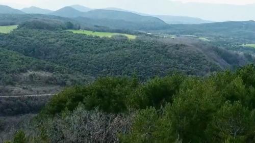 Drôme : mystère autour de la disparition du loup de Valberg