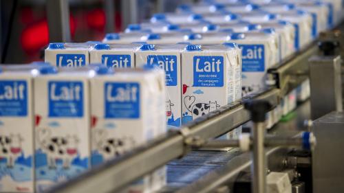 Consommation : les Français retrouvent le gout du lait