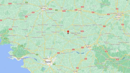 Maine-et-Loire : une enfant de 6 ans tuée par un berger allemand