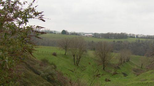 Tarn : une histoire de caprins sauvages rend chèvre un village