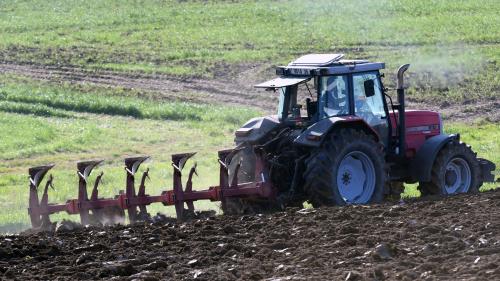 Le décryptage éco. Comment mieux rémunérer les agriculteurs : les propositions pour réformer les négociations annuelles sur les prix