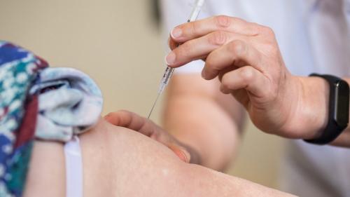 Vaccination contre le Covid-19 : les dentistes et vétérinaires entrent en piste