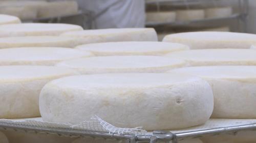 Côte-d'Or : l'abbaye de Cîteaux fait un carton en vendant ses fromages en ligne