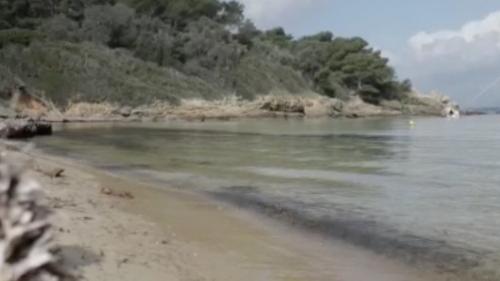 Porquerolles : l'île dépaysante de la Méditerranée