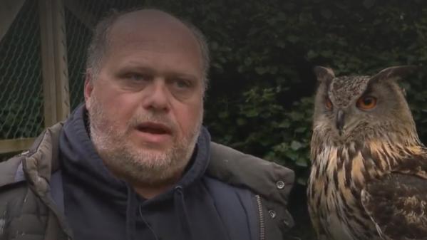 Crise sanitaire : les oiseaux des fauconniers au chômage technique