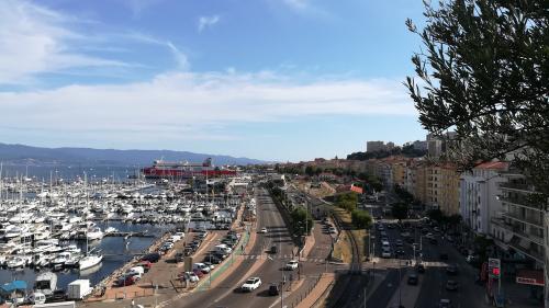 Corse : un test PCR négatif de moins de 72 heures pour accéder aux ports de plaisance