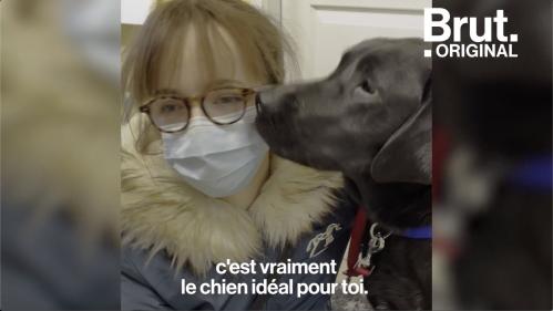 VIDEO. La rencontre entre Bérénice, malvoyante, et son chien guide