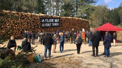 100 manifestants contre les coupe rases sur le plateau de Millevaches