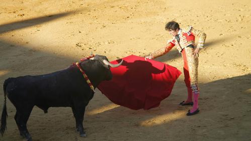 Ces chansons qui font l'actu. Le taureau ou le torero : de quel côté est la chanson ?