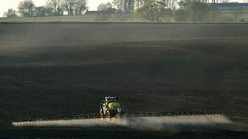 Les petites retraites agricoles seront revalorisées au 1er novembre