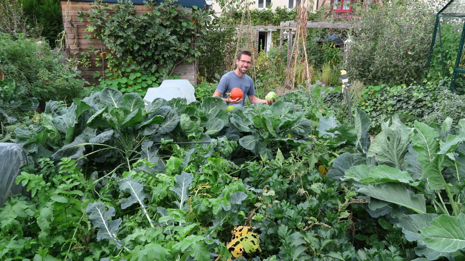 Jardin Demarrer Et Optimiser Un Potager En Permaculture