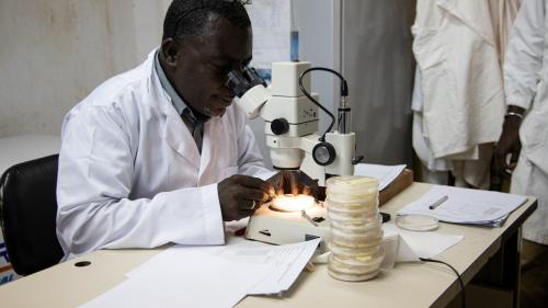 Percée médicale contre le paludisme : un candidat vaccin testé au Burkina Faso s'est révélé efficace à 77%