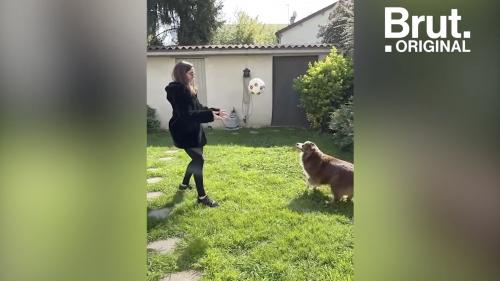 VIDEO. Chats et chiens, ces partenaires qui apportent du réconfort au quotidien