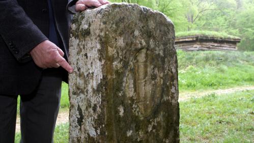 En Belgique, un agriculteur déplace une borne... Et repousse les limites de la frontière française