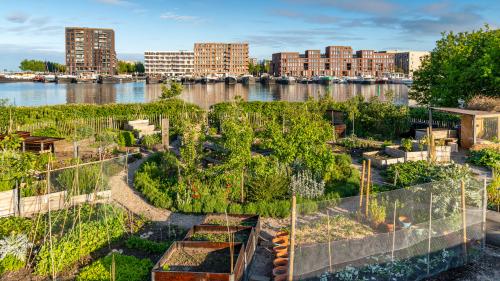 franceinfo conso. Potagers contaminés : qu'en est-il du vôtre ?