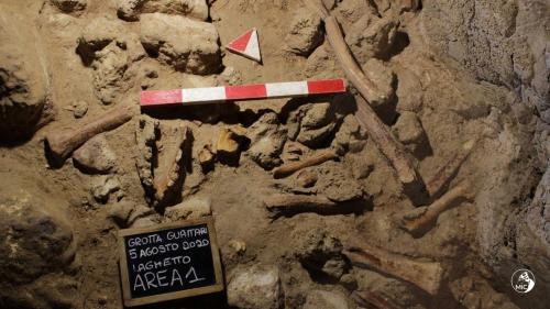 Les restes de neuf Néandertaliens ont été découverts dans la grotte de Guattari en Italie