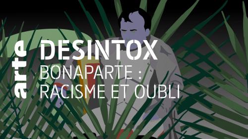 Désintox. Il est faux de dire que le régime de Napoléon Bonaparte n'était pas raciste