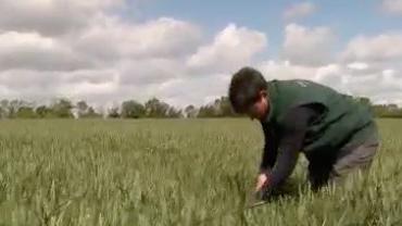 Environnement : la protection du sol, essentielle pour l'agriculture