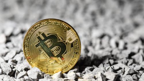 Le bitcoin a perdu la moitié de sa valeur en un mois, plombé par la Chine et Elon Musk