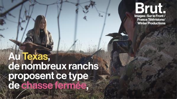 VIDEO. La chasse en enclos, une pratique qui existe aussi en France