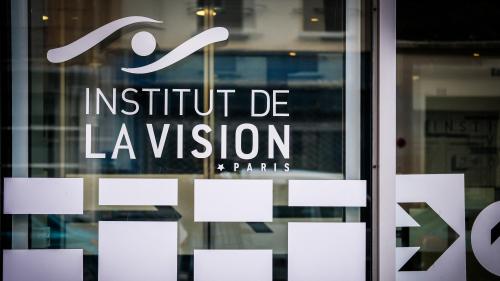 Un patient aveugle recouvre partiellement la vue : 