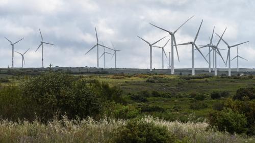 VRAI OU FAKE. Régionales : les attaques de certains candidats contre les éoliennes sont-elles fondées ?