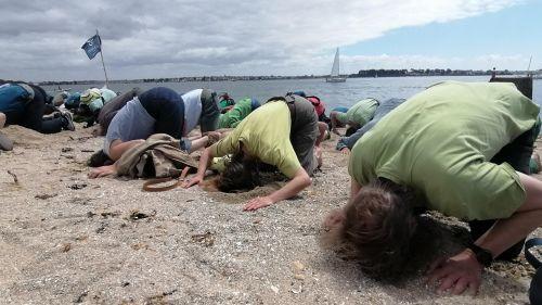 Contre les algues vertes en Bretagne, ils manifestent la tête dans le sable