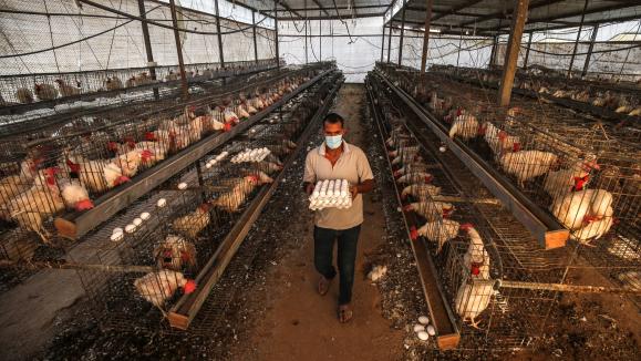 En France, c’est l’Agence nationale de sécurité sanitaire de l’alimentation, de l’environnement et du travail qui s’assure du respect des normes nationales et européennes.