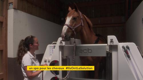 En Seine-Maritime, de la balnéothérapie de luxe pour les chevaux de sport