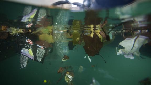 El robot Jellyfishbot, gracias a su red con una capacidad de 80 litros, trabaja para limpiar los puertos, pero también los océanos.  & Nbsp;