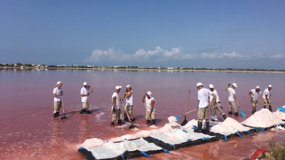 Los salineros, que trabajan a pleno sol, se visten de blanco para mantener el calor en Aigues-Mortes (Hérault).  Foto ilustrativa.