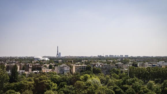 En Francia, unas 30.000 hectáreas de naturaleza, casi tres veces la superficie de París, desaparecen cada año.