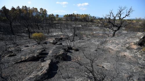 Var : un troisième corps découvert mais pas encore identifié, quatre mois après les incendies