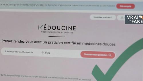 VRAI OU FAKE : une plateforme consacrée aux médecins douces fait débat