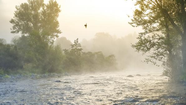 La Loire, dernier grand fleuve sauvage d'Europe