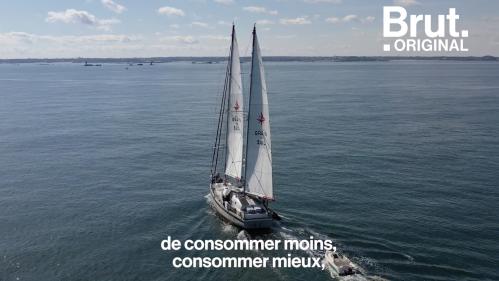 VIDEO. Ils importent leur café par cargo-voilier depuis l'autre côté de l'Atlantique