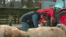 Tous les 10 ans, la France réalise une photographie du monde agricole. Une nouvelle génération souvent plus diplômée se tourne vers l’avenir et montre un nouveau visage du monde agricole. &nbsp;