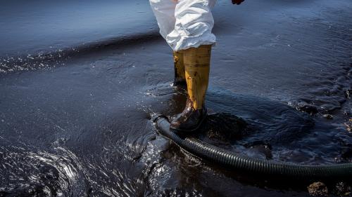 L'UE propose de durcir les sanctions pour les crimes environnementaux