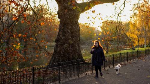 Météo : le Royaume-Uni enregistre son jour de l'An le plus chaud