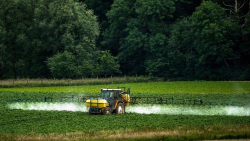 Pesticides : 5 ONG déposent un recours contre l'Etat pour protéger la biodiversité