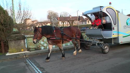 En Haute-Marne, la commune de Wassy adopte la collecte des ordures à cheval