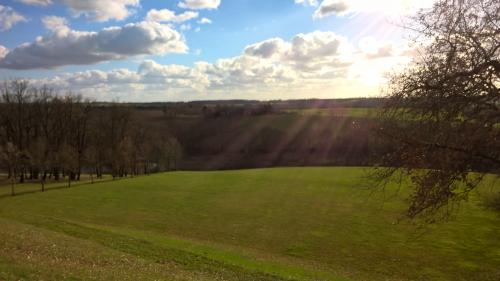 Vie sociale, travail, installation... Dans le Gers, ces jeunes préfèrent vivre à la campagne plutôt qu'en ville