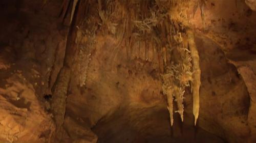 Dordogne : à la découverte de la grotte aux étoiles