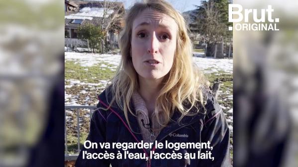 VIDEO. Le label Happy, un label pour s'assurer du bien-être des animaux d'élevage