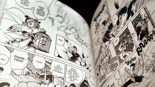 Mangas : actions en justice ou plateformes légales, les éditeurs cherchent la solution efficace contre le piratage